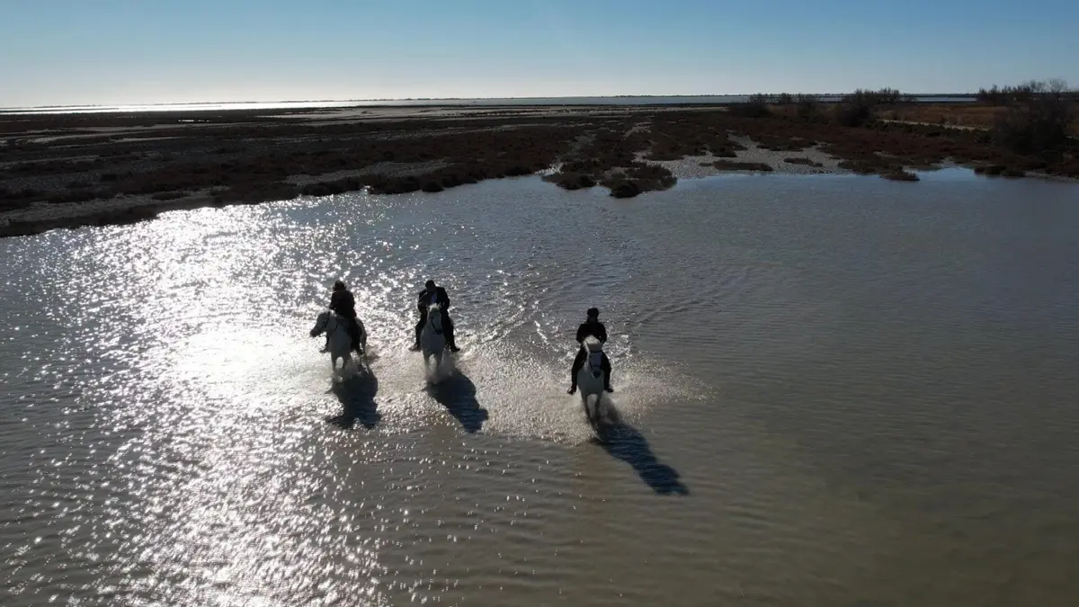 Sale temps pour la planète Camargue, à la croisée des eaux
