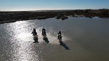Camargue, à la croisée des eaux