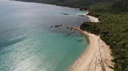 Visuel de Sale temps pour la planète