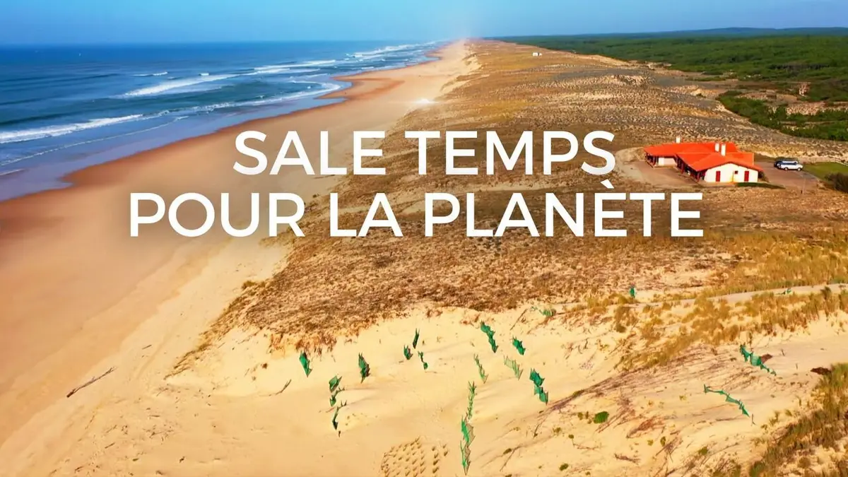 Sale temps pour la planète Landes de Gascogne, le vent l'emportera