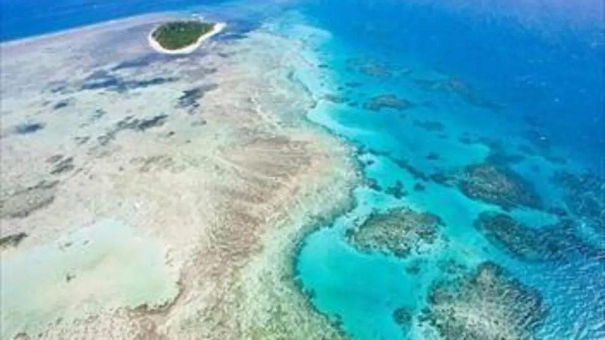Sale temps pour la planète S10E00 Australie : la Grande Barrière en danger (1/2)