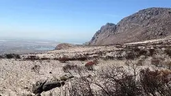 Visuel de Sale temps pour la planète