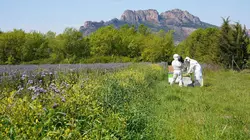 Sale temps pour la planète Var, l'eau et le feu