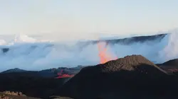 Sale temps pour la planète  S11E02 La Réunion : une île verte