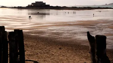 La Réunion : une île verte
