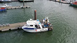 Sale temps pour la planète