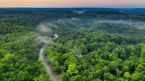 Sale temps pour la planète Guyane, l'Amazonie sous surveillance