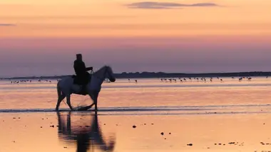 Sale temps pour la planète Camargue, à la croisée des eaux