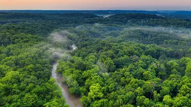 Sale temps pour la planète Guyane, l'Amazonie sous surveillance