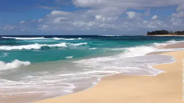 Sale temps pour la planète S09E02 Hawaii, urgences d'Etat