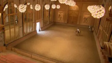 L'Académie du spectacle équestre