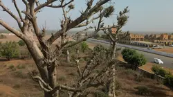 Sur Eurosport 1 à 21h06 : Sandriders