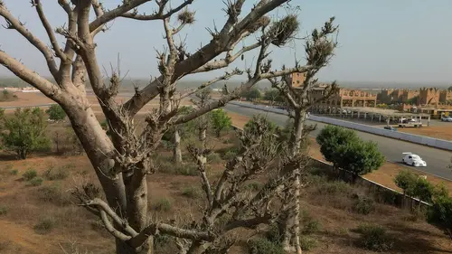 Sandriders S02E03 Episode 3