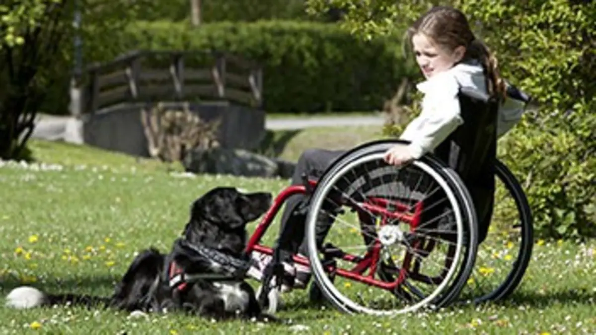 Sans tabou Elever un enfant différent, le combat d'une vie