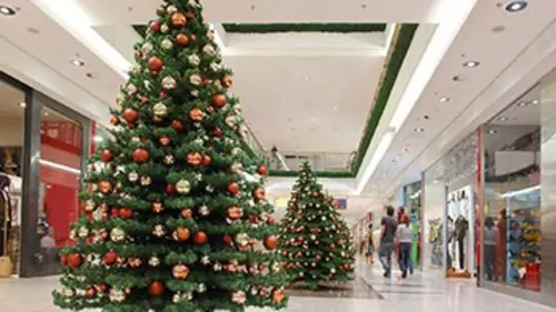 Sans tabou Noël : dans les secrets des préparatifs