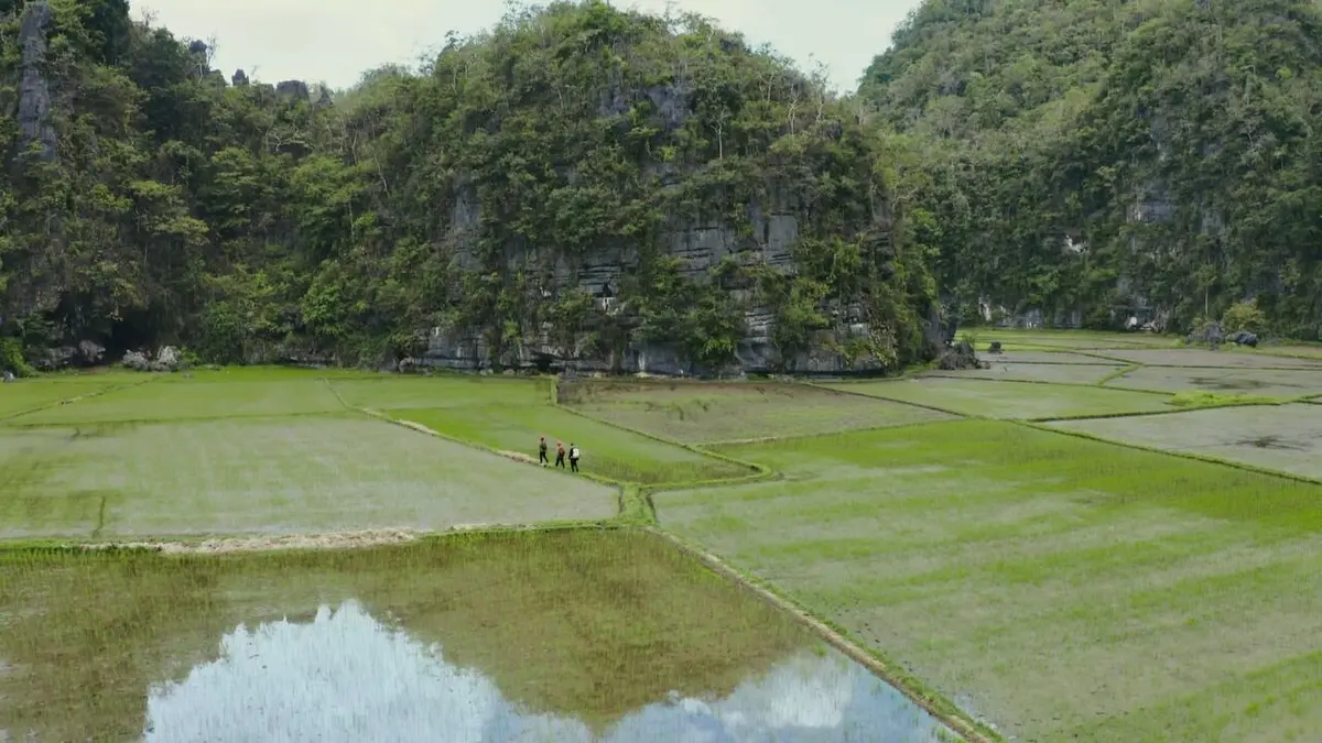 Sapiens ou la naissance de l'art