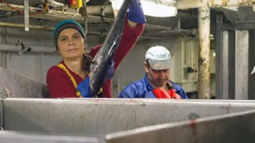 Sarah Wiener E01 Une semaine avec des pêcheurs