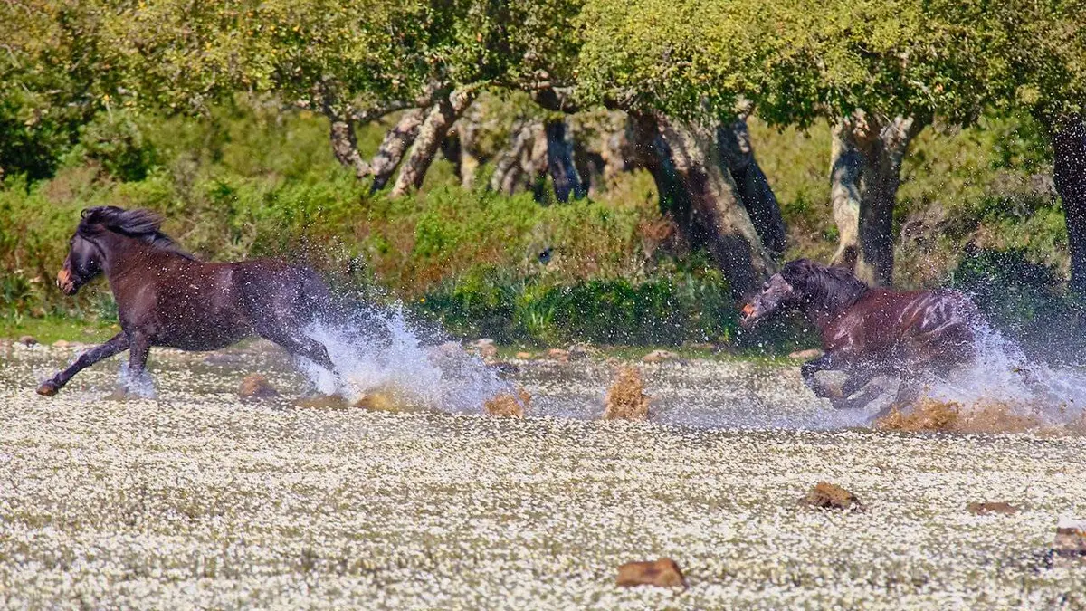 Sardaigne, de roches et de pierres