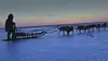 Sauvé grâce aux chiens de traîneau