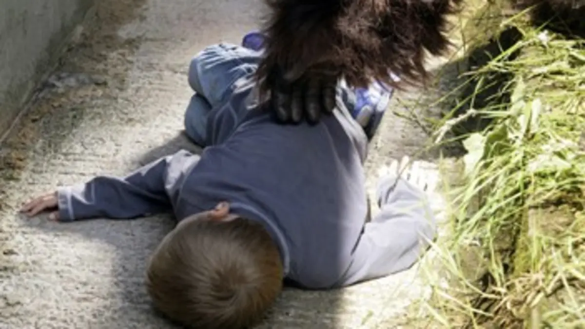 Sauvé par un animal E03 Le gorille et le petit garçon