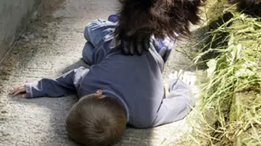 Le gorille et le petit garçon