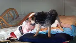 Visuel de Sauvé par un animal