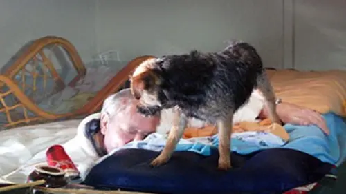 Sauvé par un animal