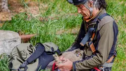 Sauver les hiboux, c'est chouette