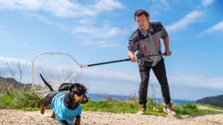 Sauvetage animal