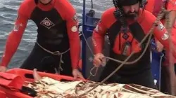 Visuel de Sauveteurs en mer