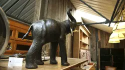 Sauveurs de trésors Hollywood à la ferme