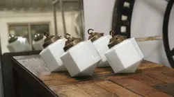 Sauveurs de trésors Hollywood à la ferme