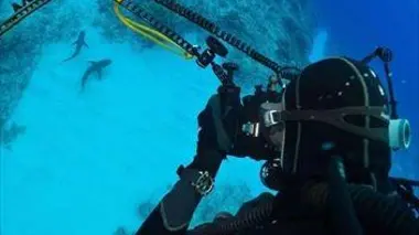 Sauvons la Méditerranée