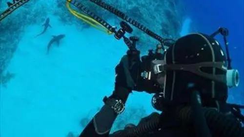 Sauvons la Méditerranée