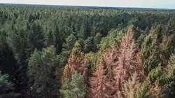 Sauvons nos forêts S01E01 Préserver le climat