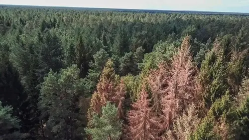 Sauvons nos forêts S01E01 Préserver le climat