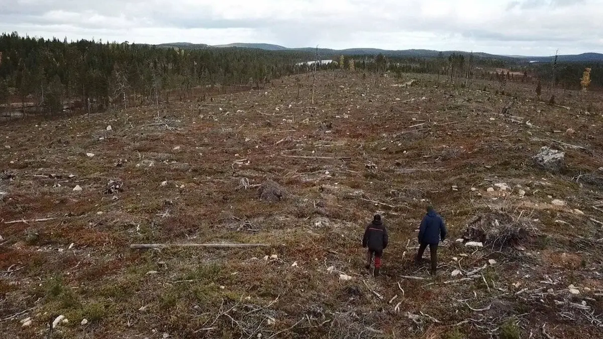 Sauvons nos forêts S01E02 Lutter contre l'industrie