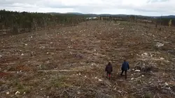 Sauvons nos forêts S01E02 Lutter contre l'industrie