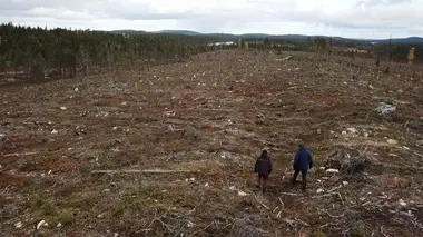 Lutter contre l'industrie