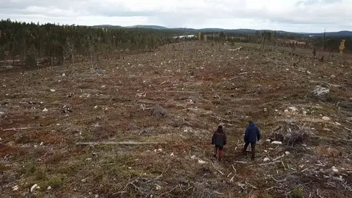 Sauvons nos forêts S01E02 Lutter contre l'industrie