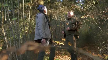 Combattre la déforestation illégale