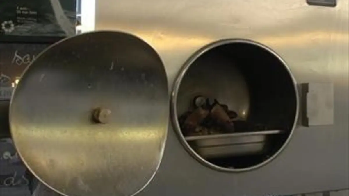 Savoureuses campagnes Lorient