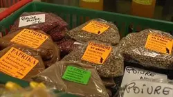 Visuel de Savoureuses campagnes