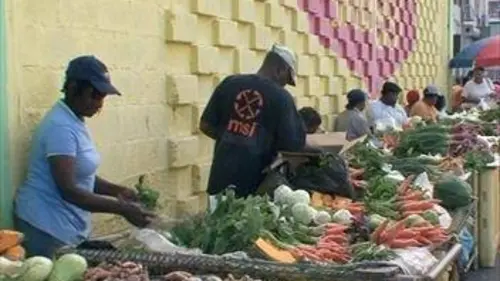 Savoureuses escapades lointaines E10 Dominique