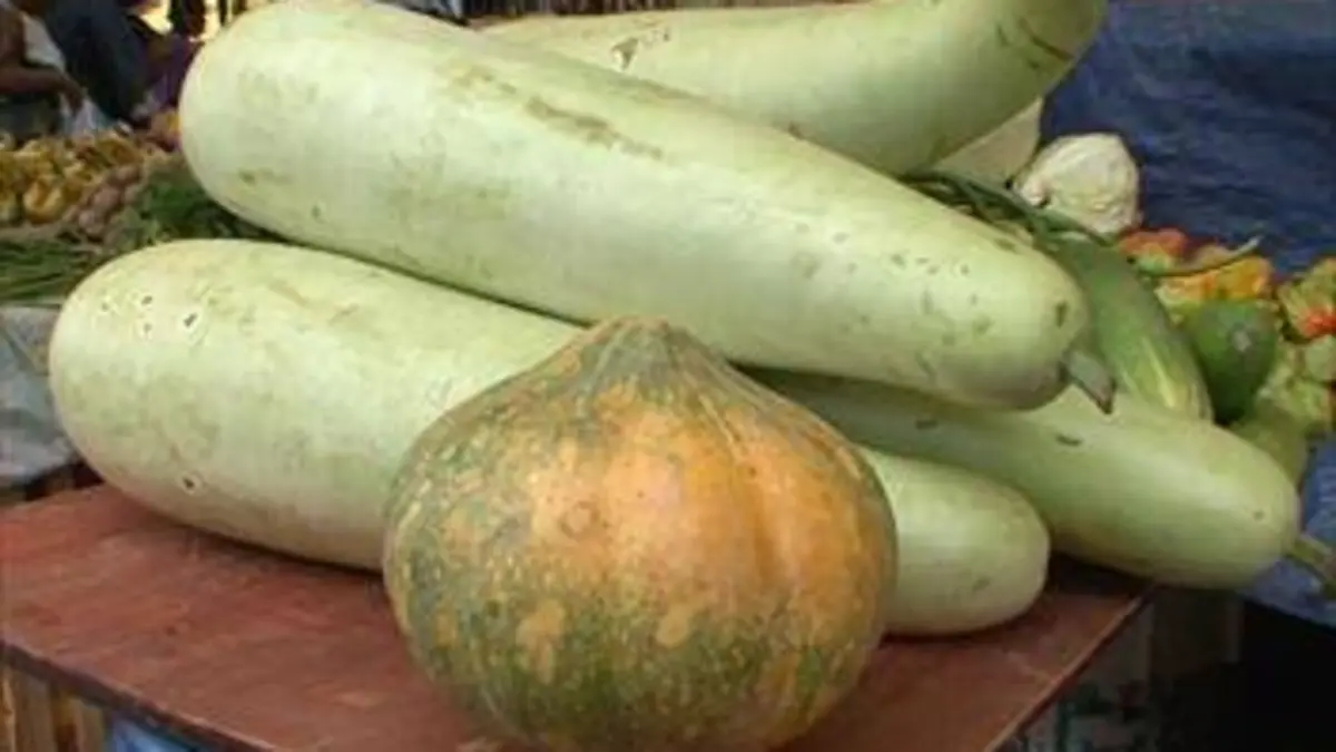 Savoureuses escapades lointaines E11 Guyane