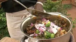 Visuel de Savoureuses escapades lointaines