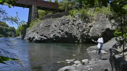 Say hi ! Ensemble plus forts