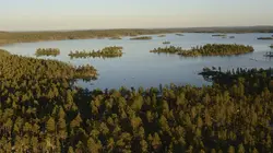 Scandinavie, terre sauvage S01E03 Les forêts