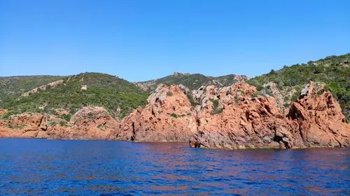 Scandola
