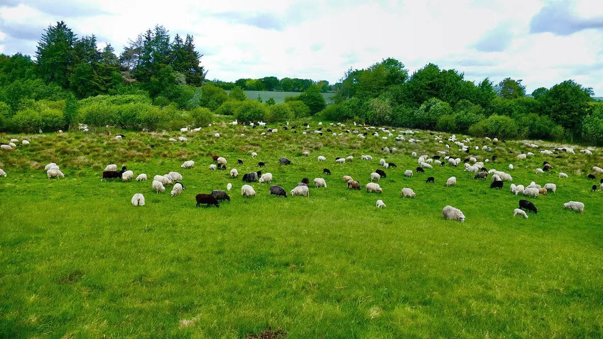 Schleswig-Holstein : Deux mers, un seul pays